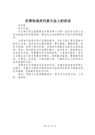 在青协成员代表大会上的讲话发言