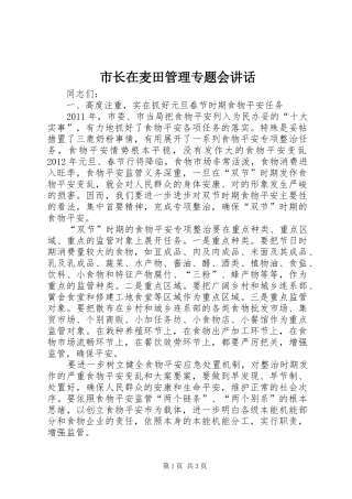 市长在麦田管理专题会讲话发言