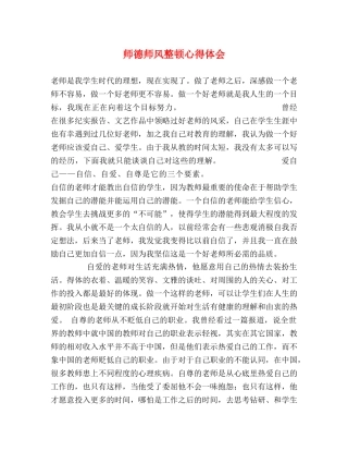 师德师风整顿心得体会 
