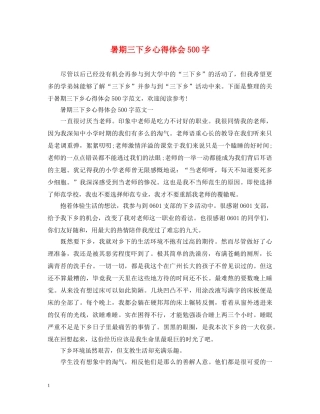 暑期三下乡心得体会500字 