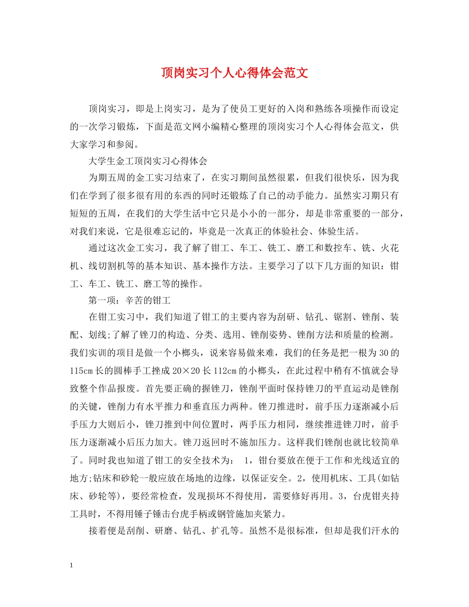 顶岗实习个人心得体会范文 _第1页