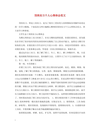 顶岗实习个人心得体会范文 