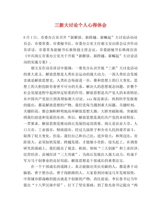 三新大讨论个人心得体会 