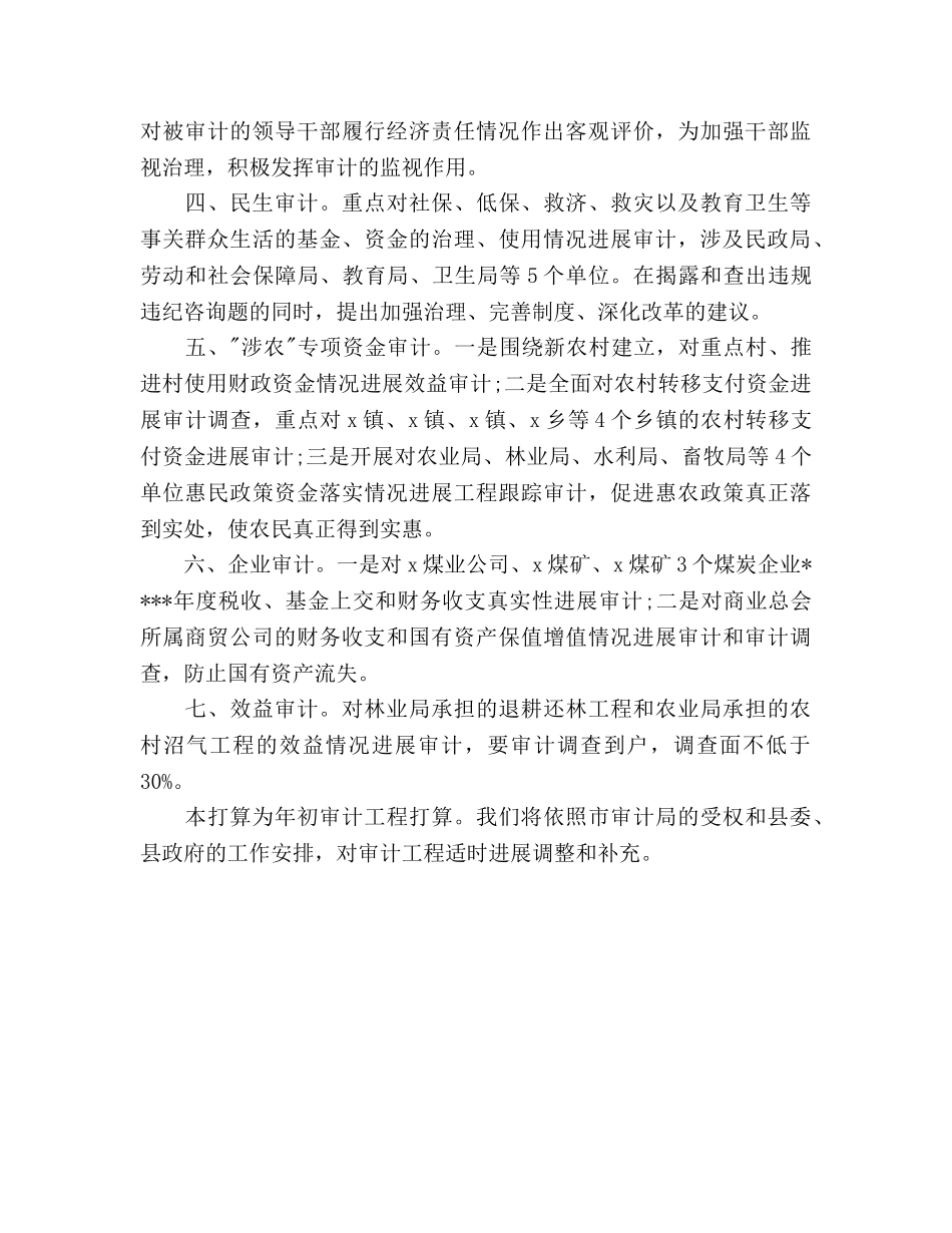 审计员个人工作参考计划范文 _第2页