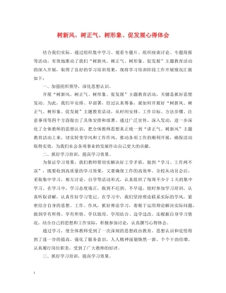 树新风、树正气、树形象、促发展心得体会 