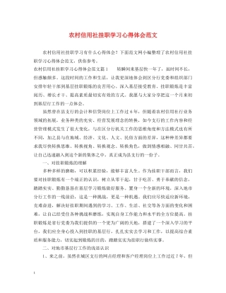 农村信用社挂职学习心得体会范文 