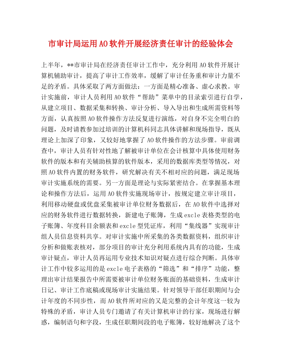 市审计局运用AO软件开展经济责任审计的经验体会 _第1页