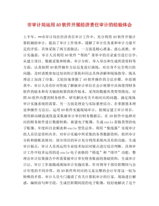 市审计局运用AO软件开展经济责任审计的经验体会 
