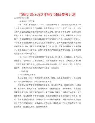 市审计局2020年审计项目参考计划 