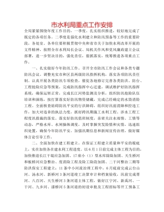 市水利局重点工作安排 