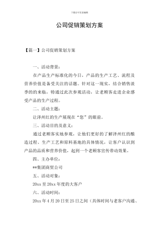 公司促销策划方案