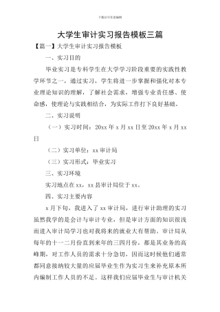 大学生审计实习报告模板三篇