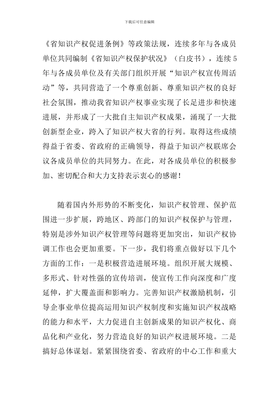 厅长在知识产权会议上发言_第2页