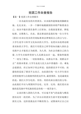 党团工作自查报告