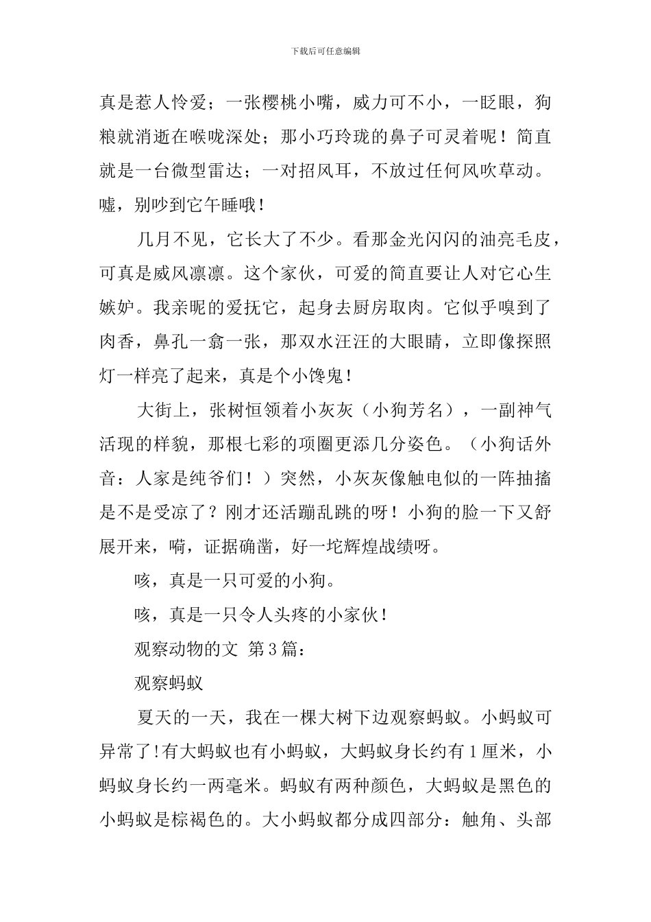 观察动物的作文_第2页