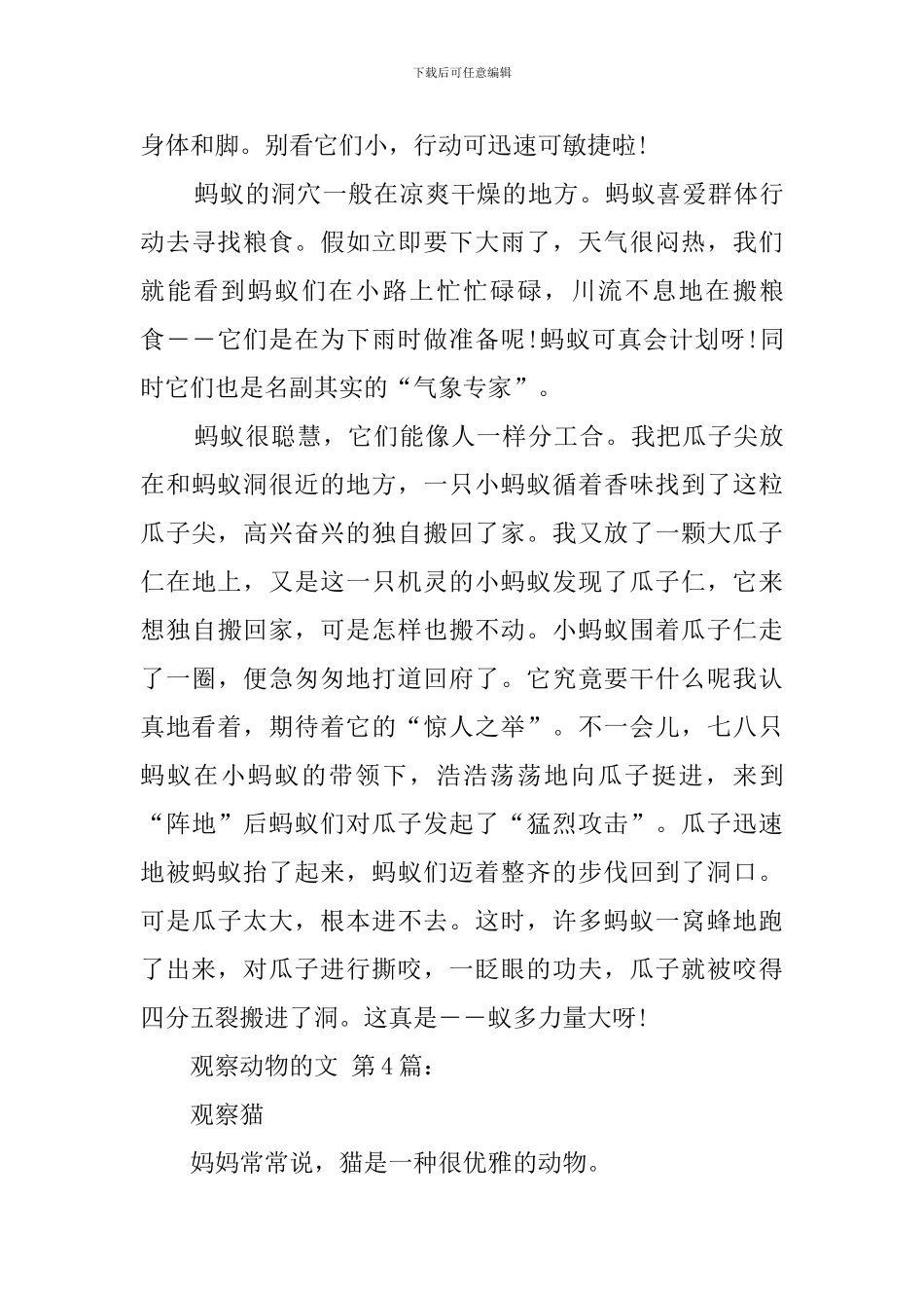 观察动物的作文_第3页