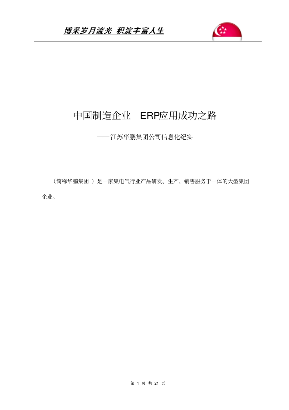 华鹏集团ERP信息化建设总结_第1页