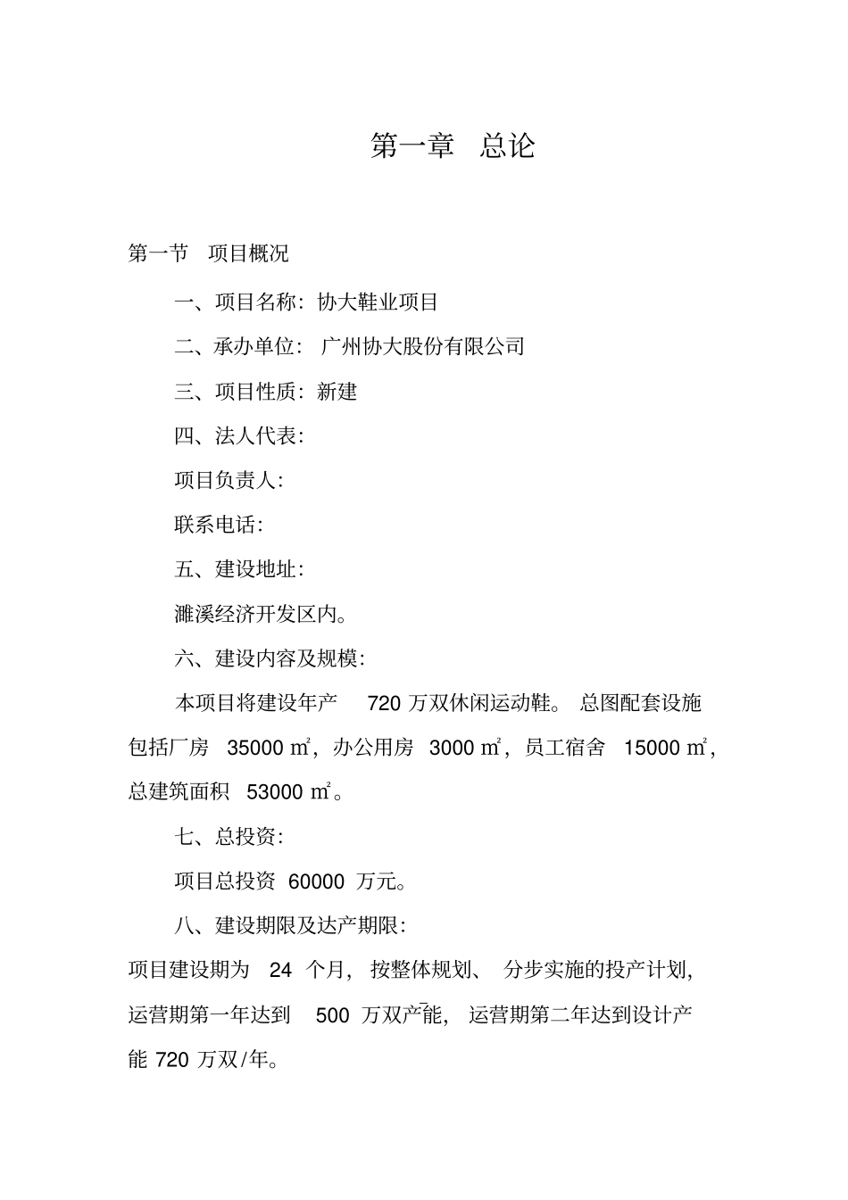 协大鞋业项目可行性研究报告管理资料_第3页