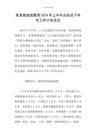 某某旅游发展局2024年上半年总结及下半年工作计划范文