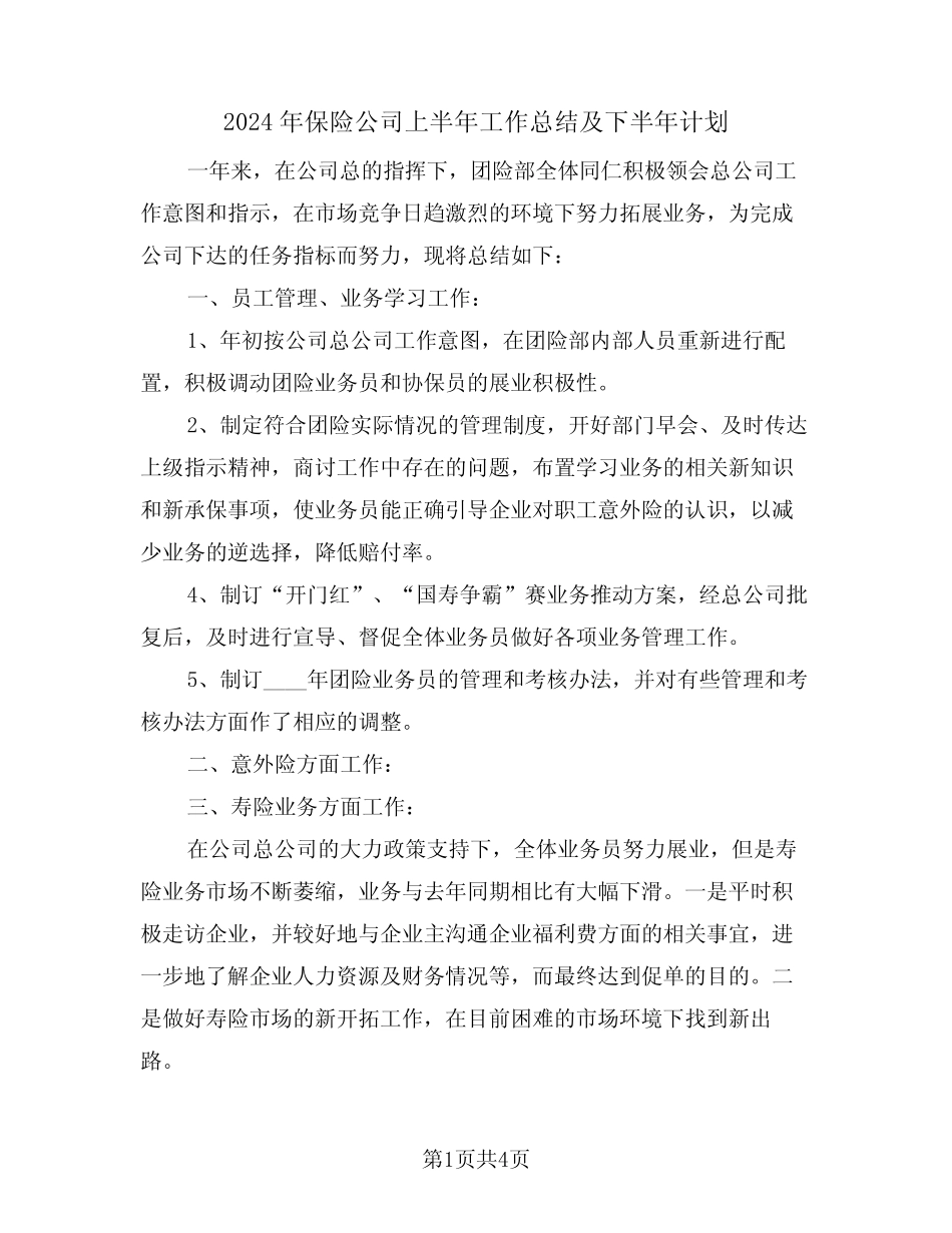2024年保险公司上半年工作总结及下半年计划(二篇)_第1页