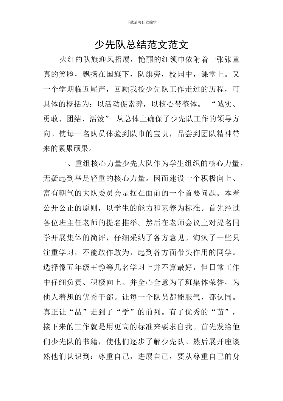 少先队总结范文范文_第1页