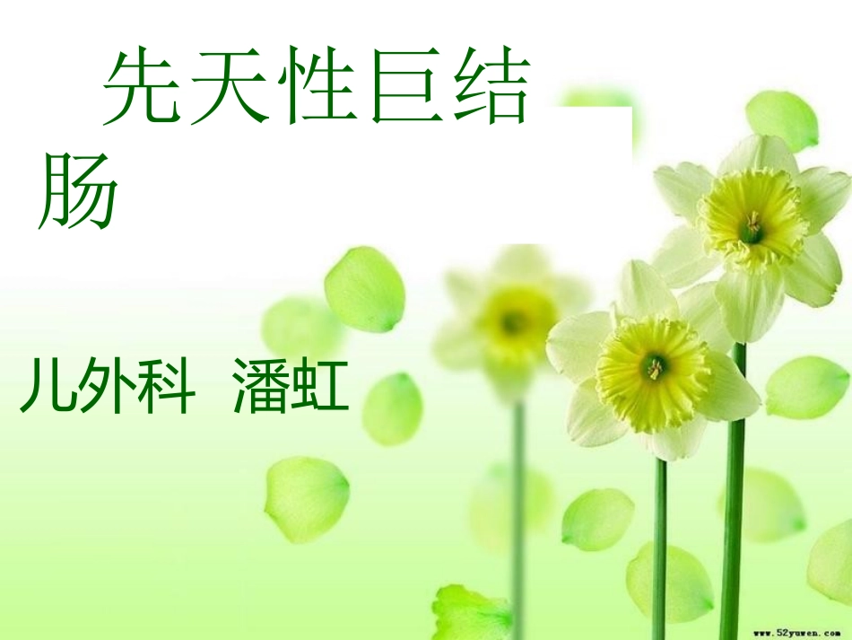 先天性巨结肠_第1页