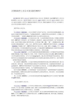 计算机软件上市公司龙头股有哪些