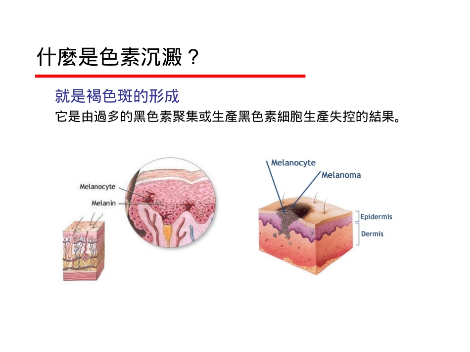 Magiclearchinese_第2页
