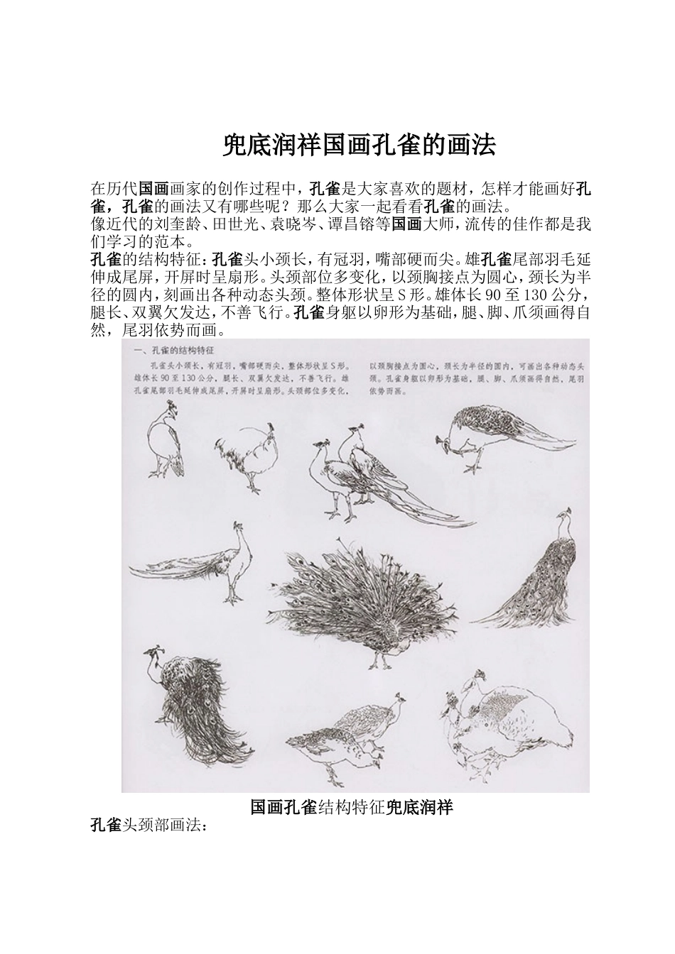 兜底润祥国画孔雀的画法_第1页