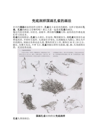 兜底润祥国画孔雀的画法