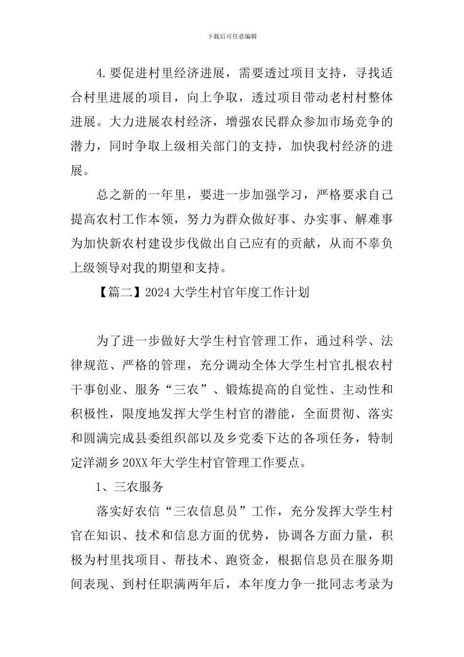 2024大学生村官年度工作计划_第3页