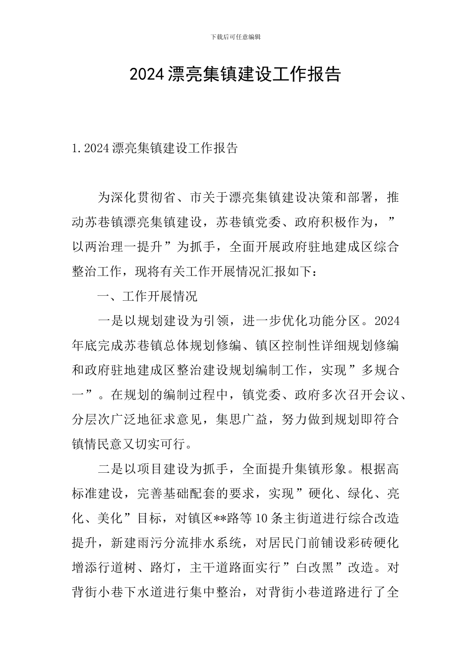2024美丽集镇建设工作报告_第1页