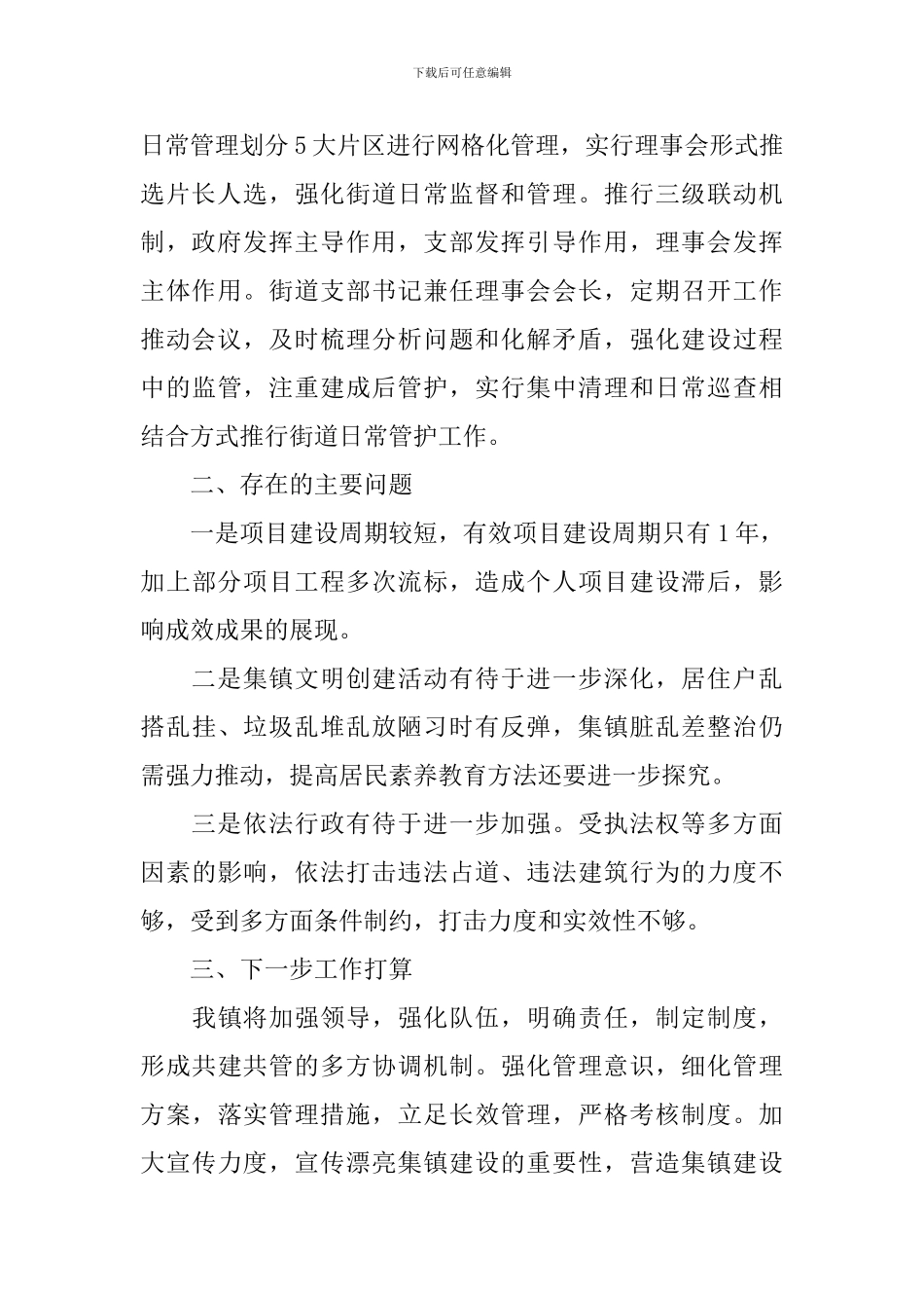 2024美丽集镇建设工作报告_第3页