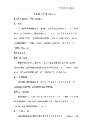 单项技术应用工作总结