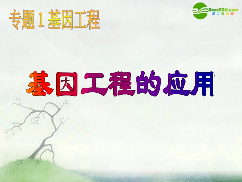 高中生物《基因工程的应用》_第1页