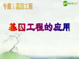 高中生物《基因工程的应用》