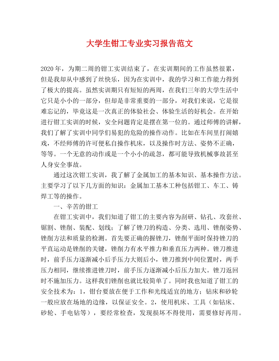 大学生钳工专业实习报告范文 _第1页