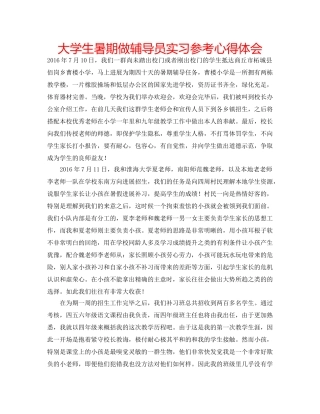 大学生暑期做辅导员实习参考心得体会 