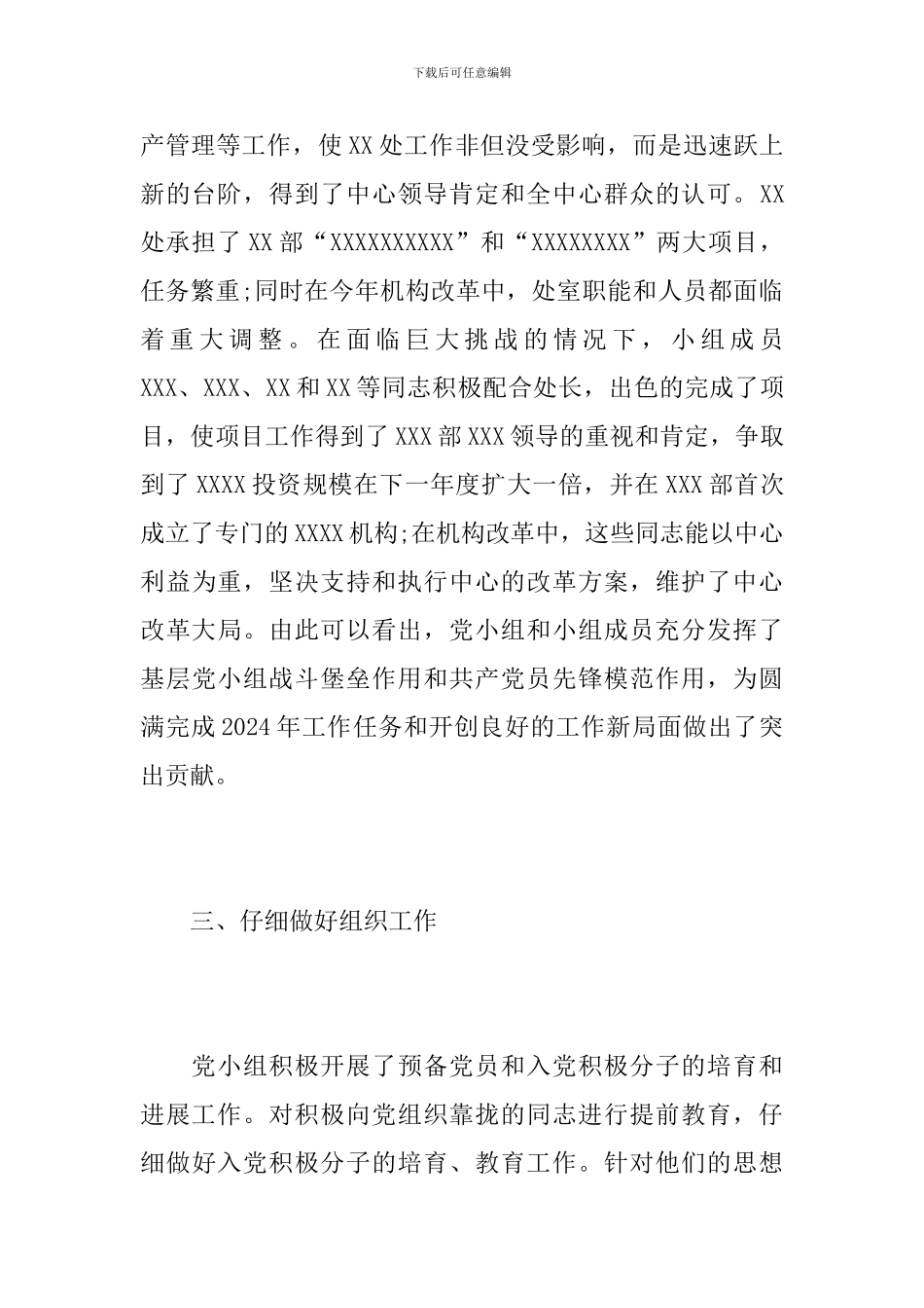 2024年党小组工作总结_第3页