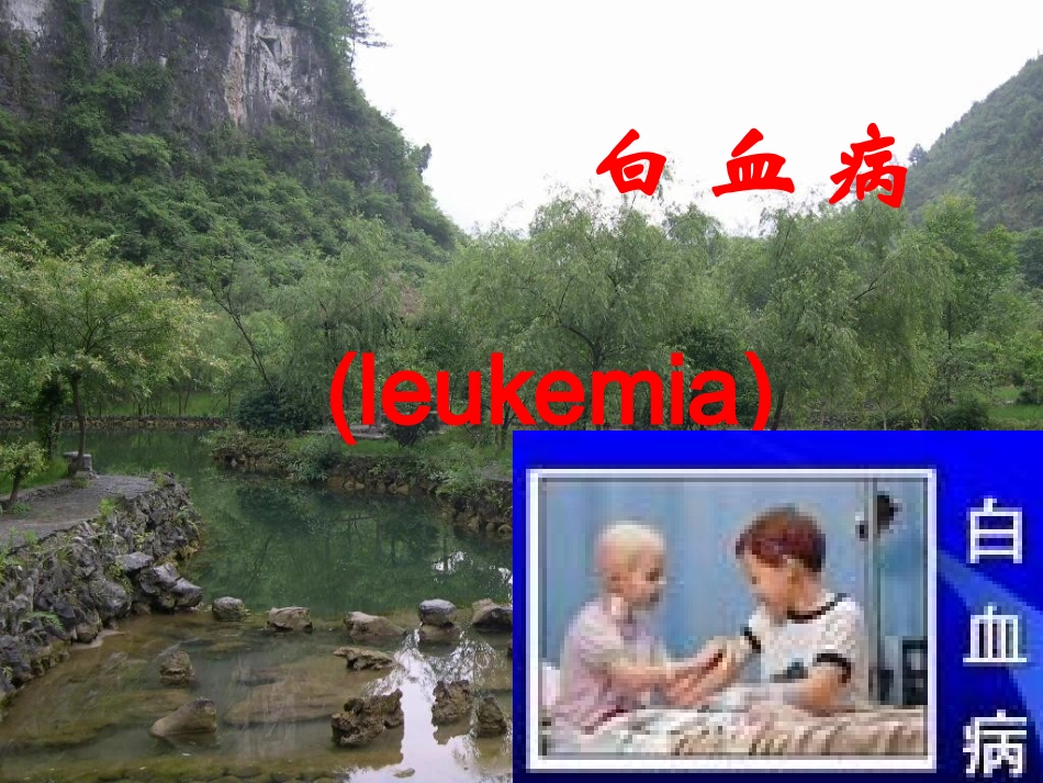 白血病治疗及护理评估_第1页