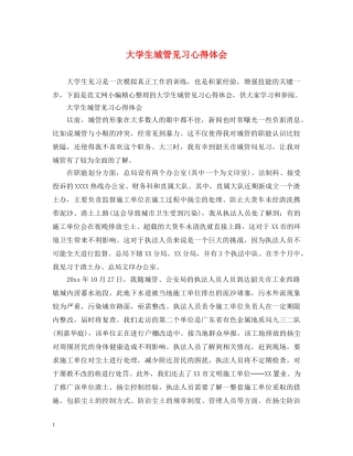 大学生城管见习心得体会 