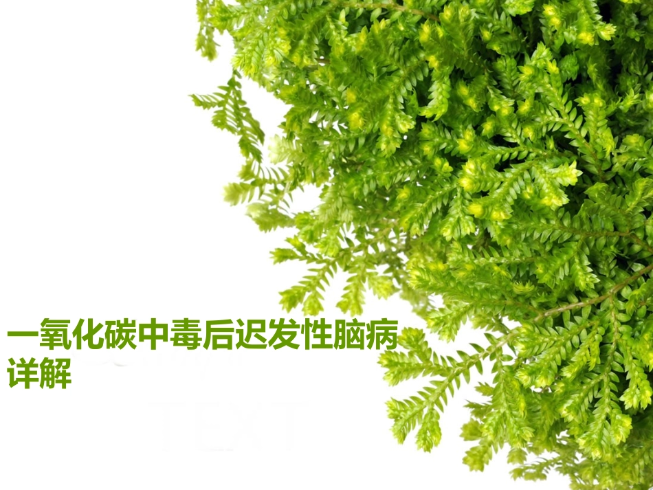 一氧化碳中毒后迟发性脑病详解_第1页