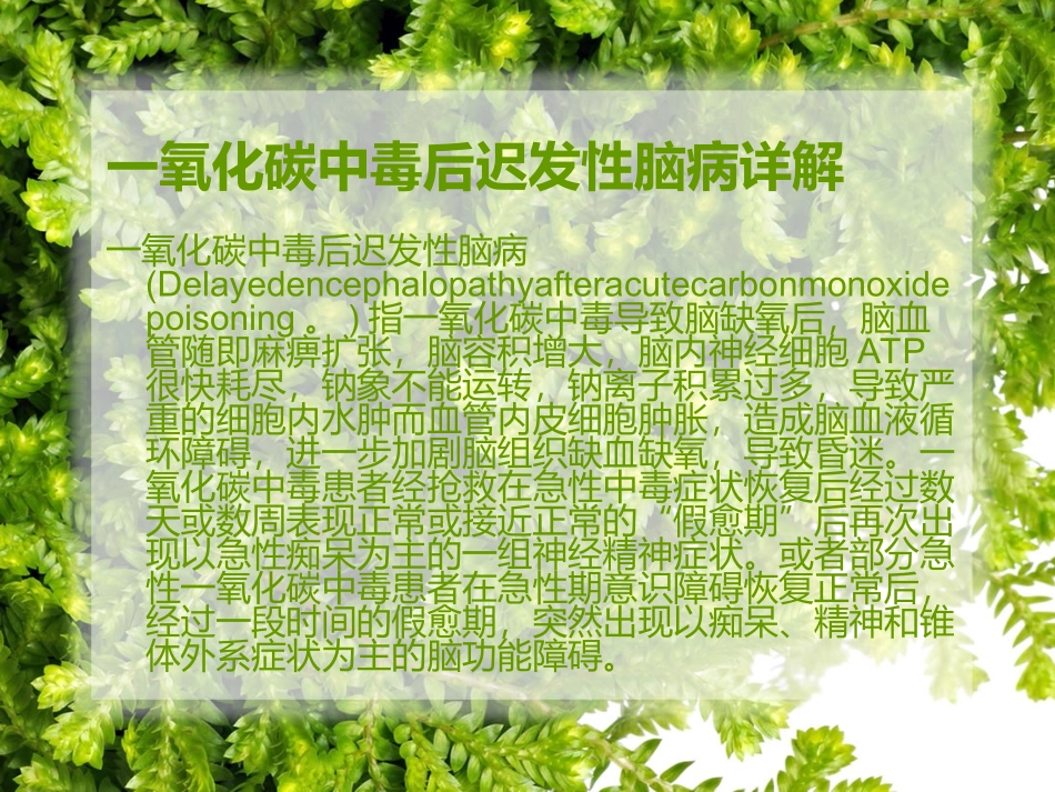 一氧化碳中毒后迟发性脑病详解_第2页