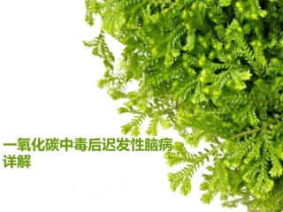 一氧化碳中毒后迟发性脑病详解