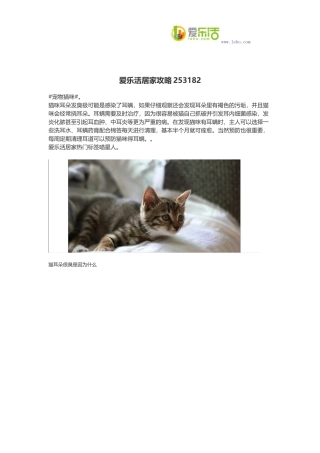 爱乐活居家攻略253182