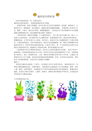 栽培花卉的好处