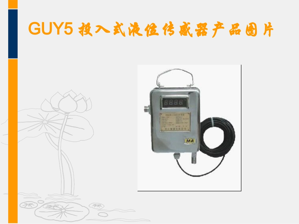 GUY5投入式液位传感器_第2页