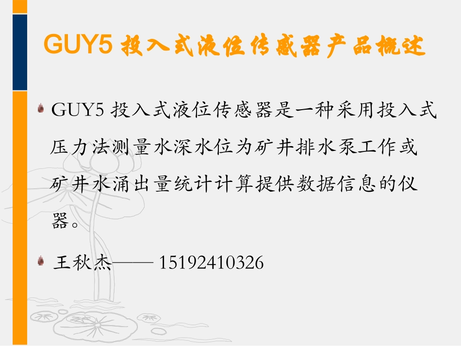 GUY5投入式液位传感器_第3页