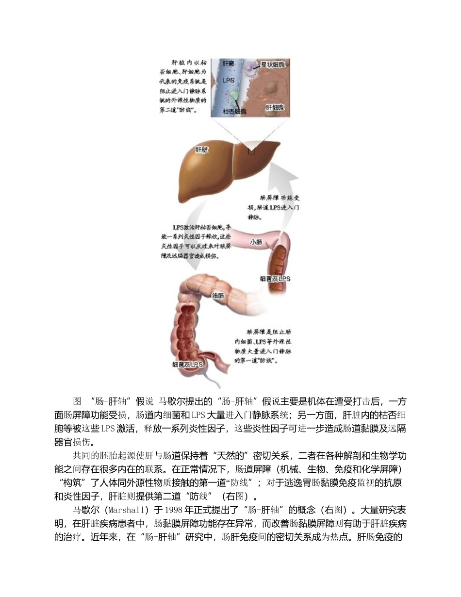 肝 肠 对 话_第3页