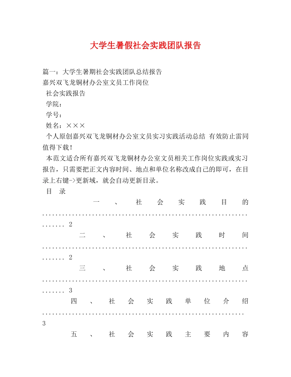 大学生暑假社会实践团队报告 (000001)_第1页